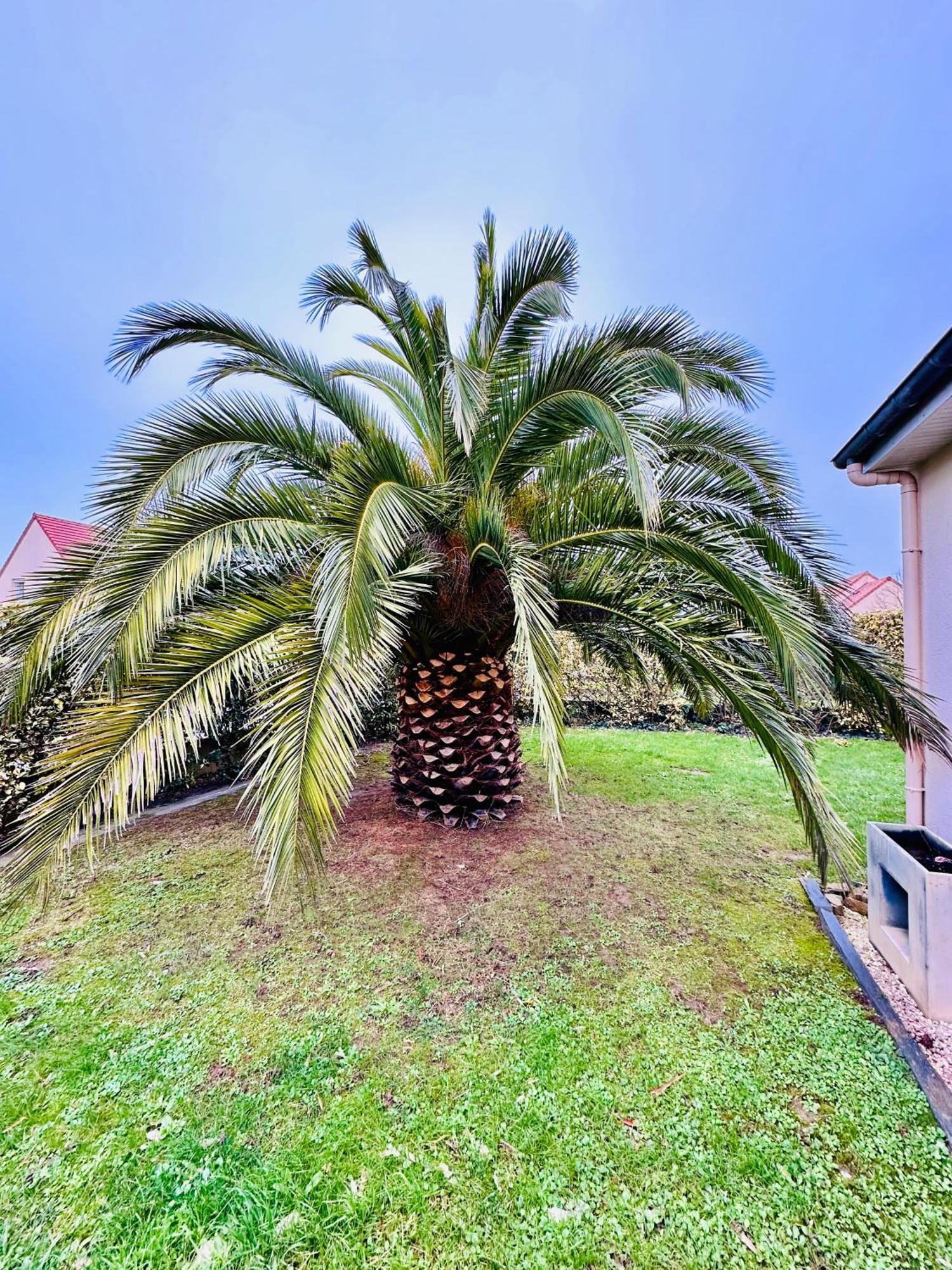 Les Palmiers Gite 7 Personnes Plages Du Debarquement Гранкам-Мези Екстериор снимка